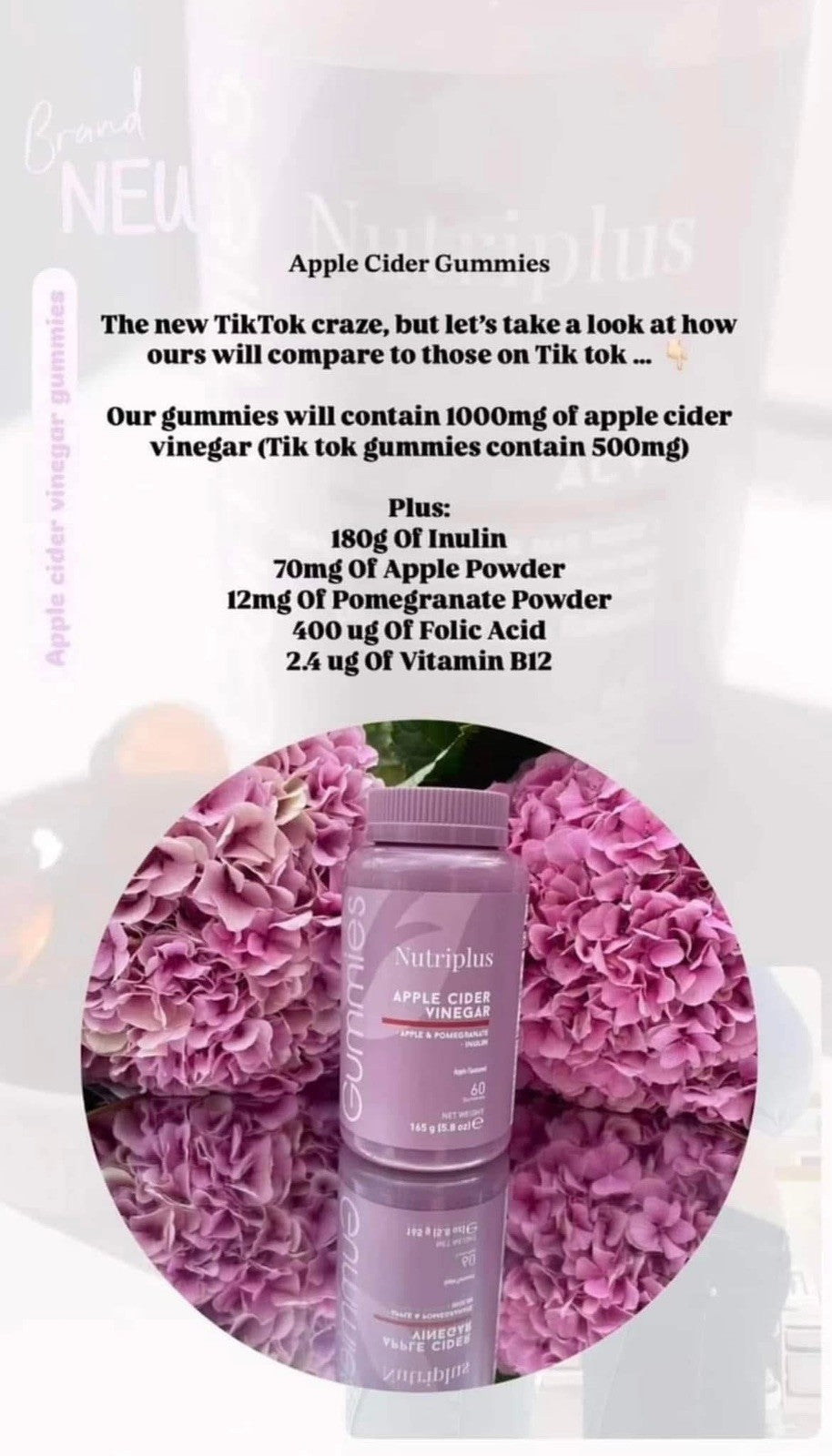 Nutriplus ACV Apple Cider Vinegar Gummies Vegan Weight Loss Gut Health